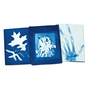Sunography printing set